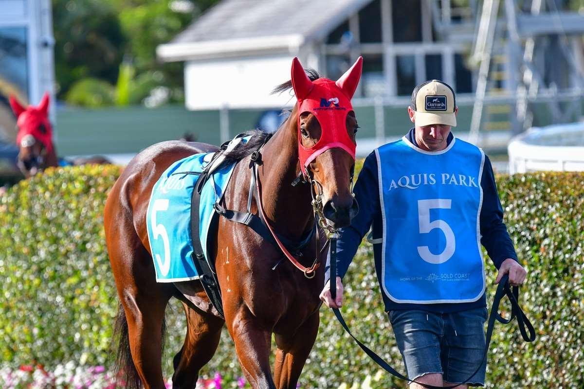 FAB FOUR FOR PETITE PALACE