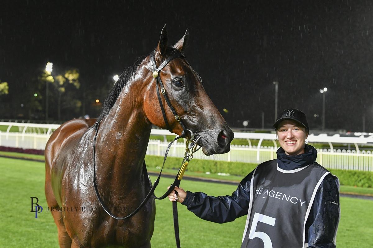 Picture of the author