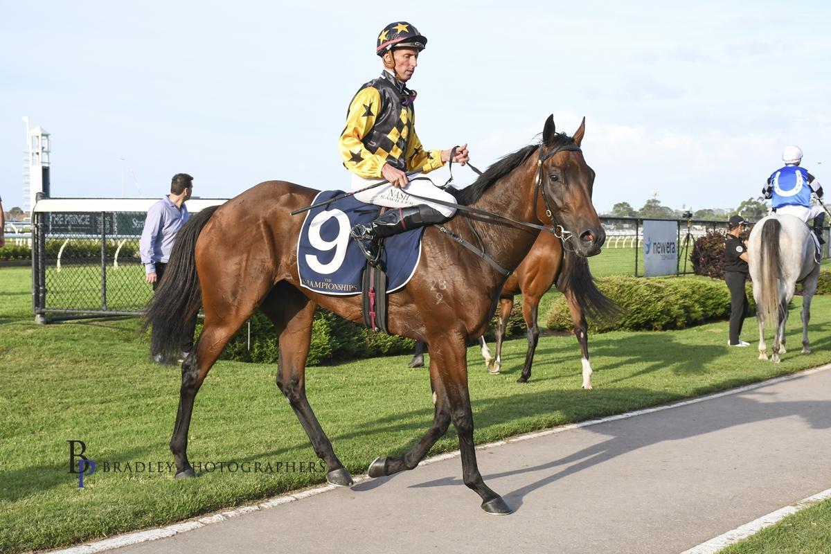 Picture of the author