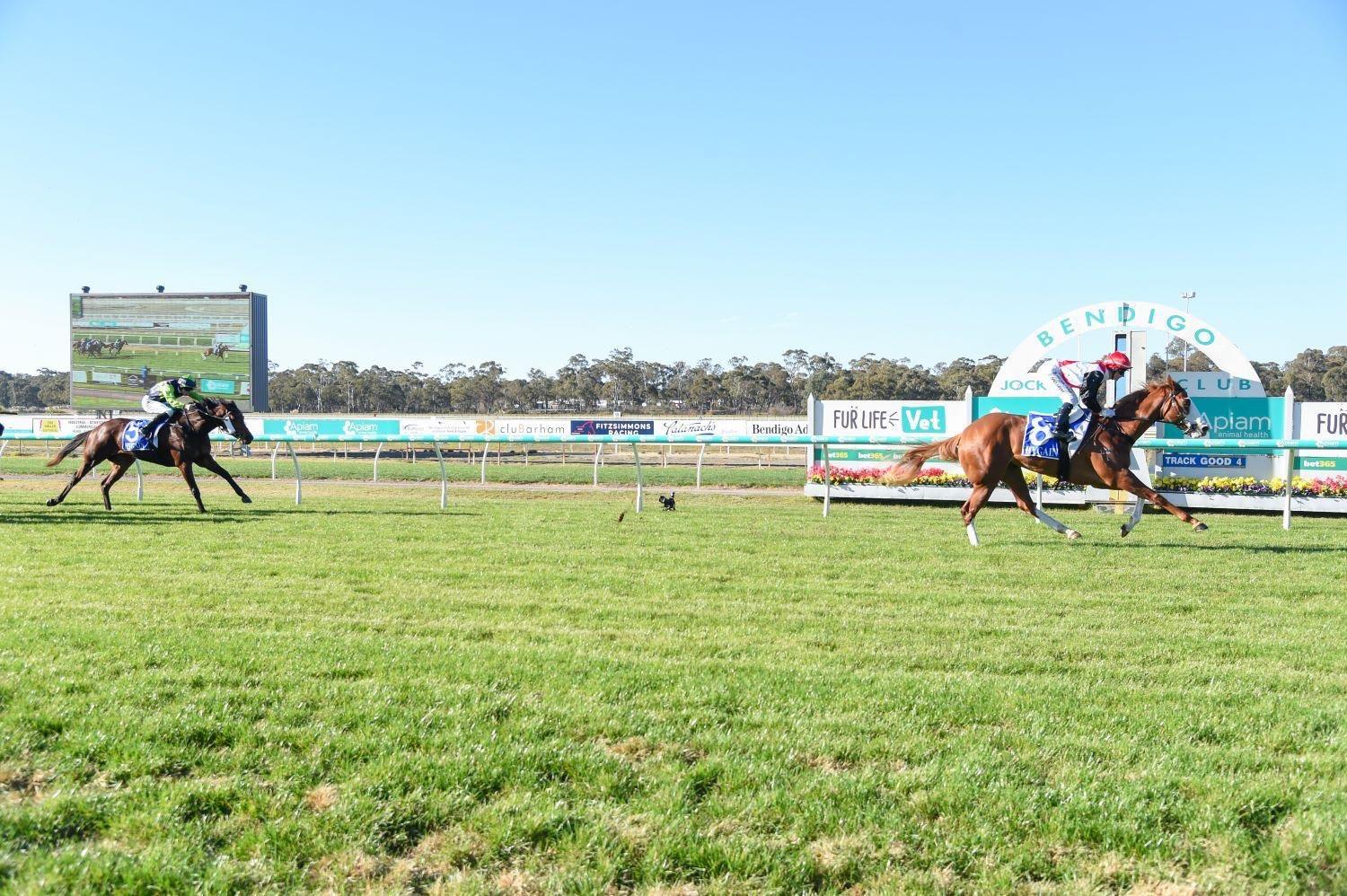 Picture of the author