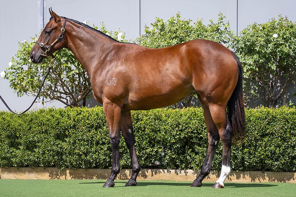 Best Of Bordeaux / Snow White '24