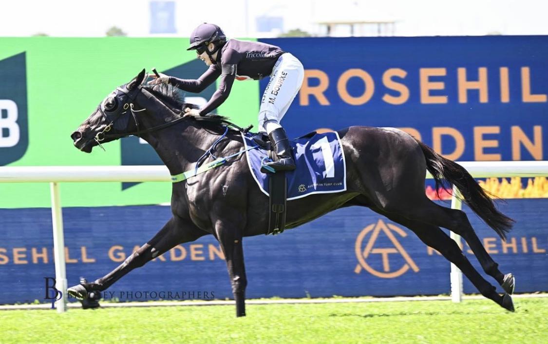 Elettrica bolts in on Golden Slipper Day !!!