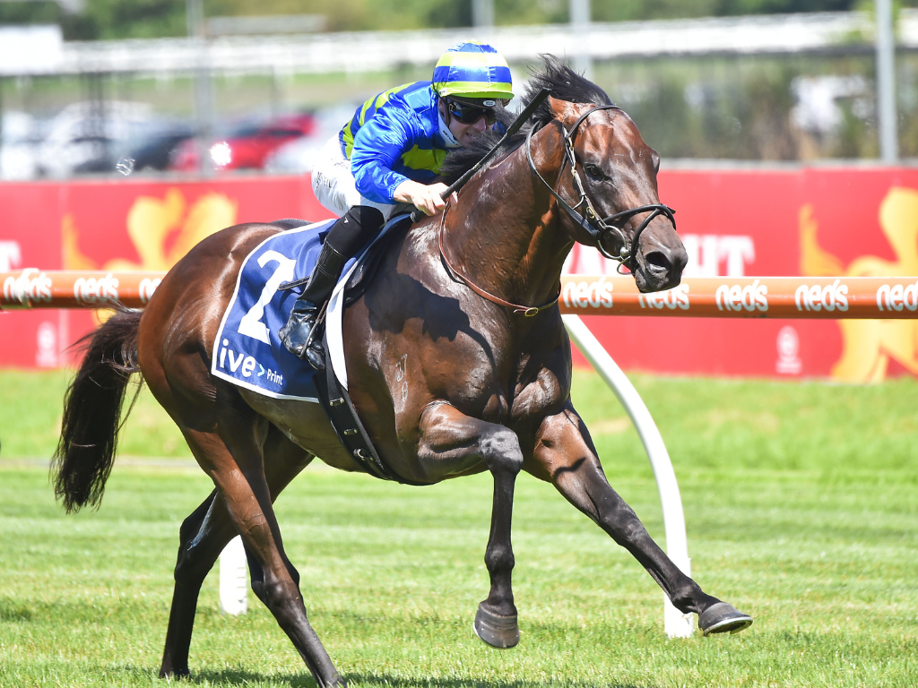 (homepage) (generation) Good looking, well-bred and quick. What more could you want?