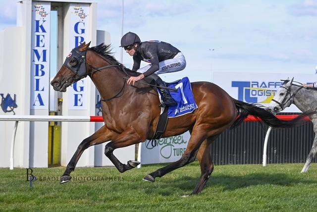 VETWELVE TOO GOOD AT KEMBLA !