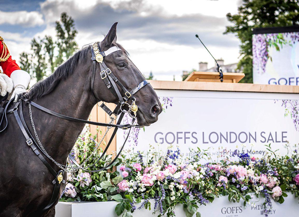 (Stable Spotlight) 2025 Goffs London Sale: Register Your Interest