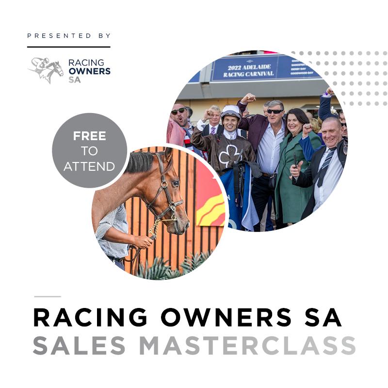 Magic Millions Masterclass