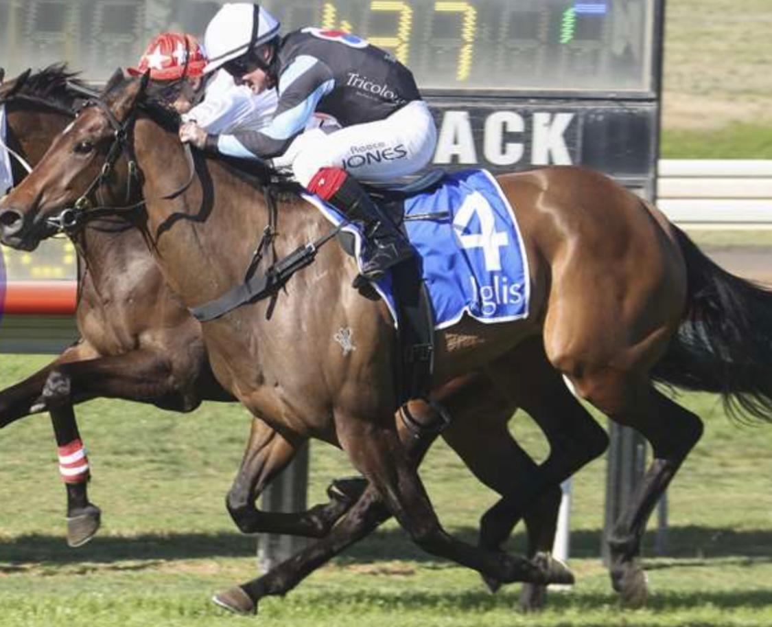 HARLOW MIST GOES BACK TO BACK ... 2 CAREER STARTS FOR 2 WINS !