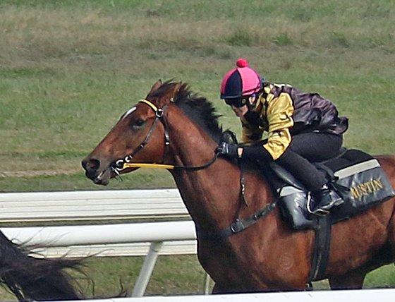 Picture of the author