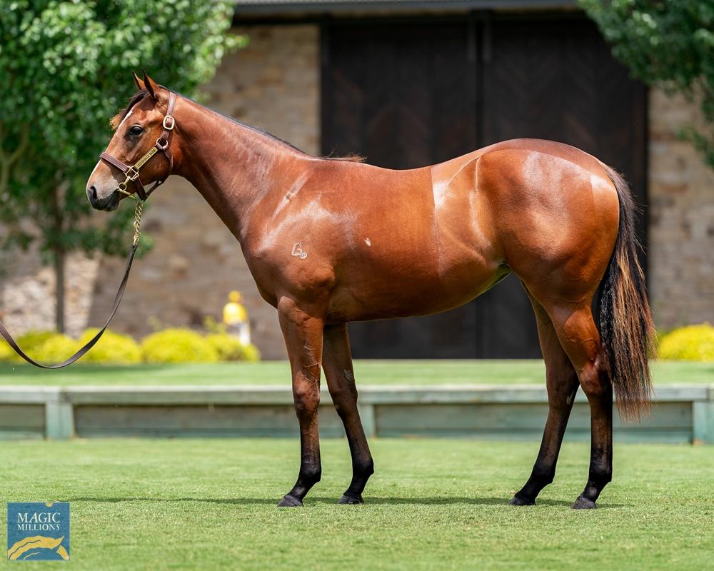 A SWEET SHERRY END TO MAGIC MILLIONS 2025