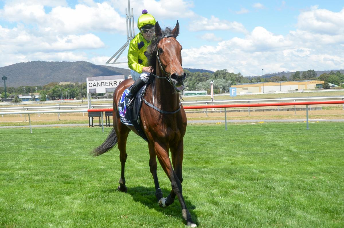 Picture of the author