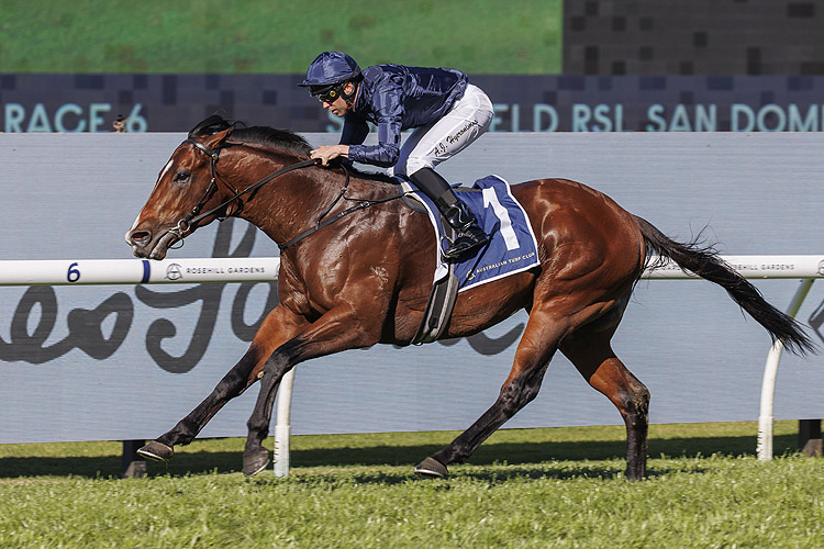 JJJ TIP SHEET SAT 14th SEPTEMBER!