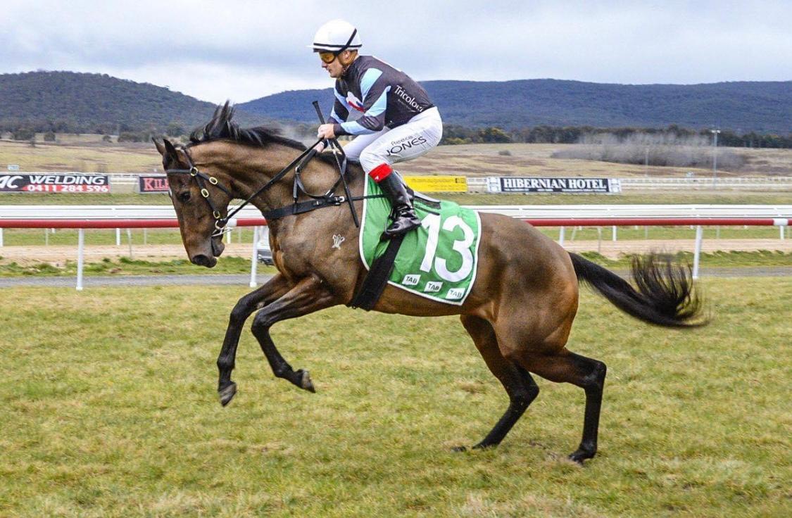HARLOW MIST TO TAKE HER PLACE IN THE VRC OAKS!