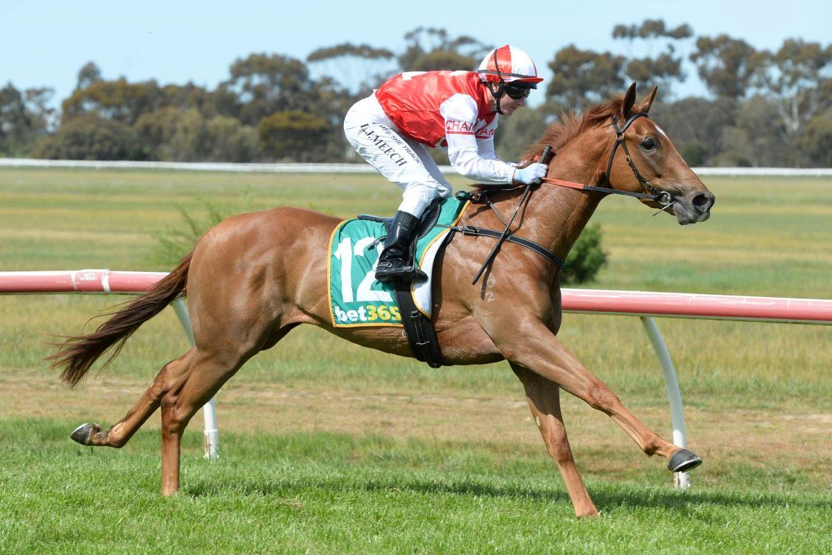 Plenty of Talent on Show at Murtoa