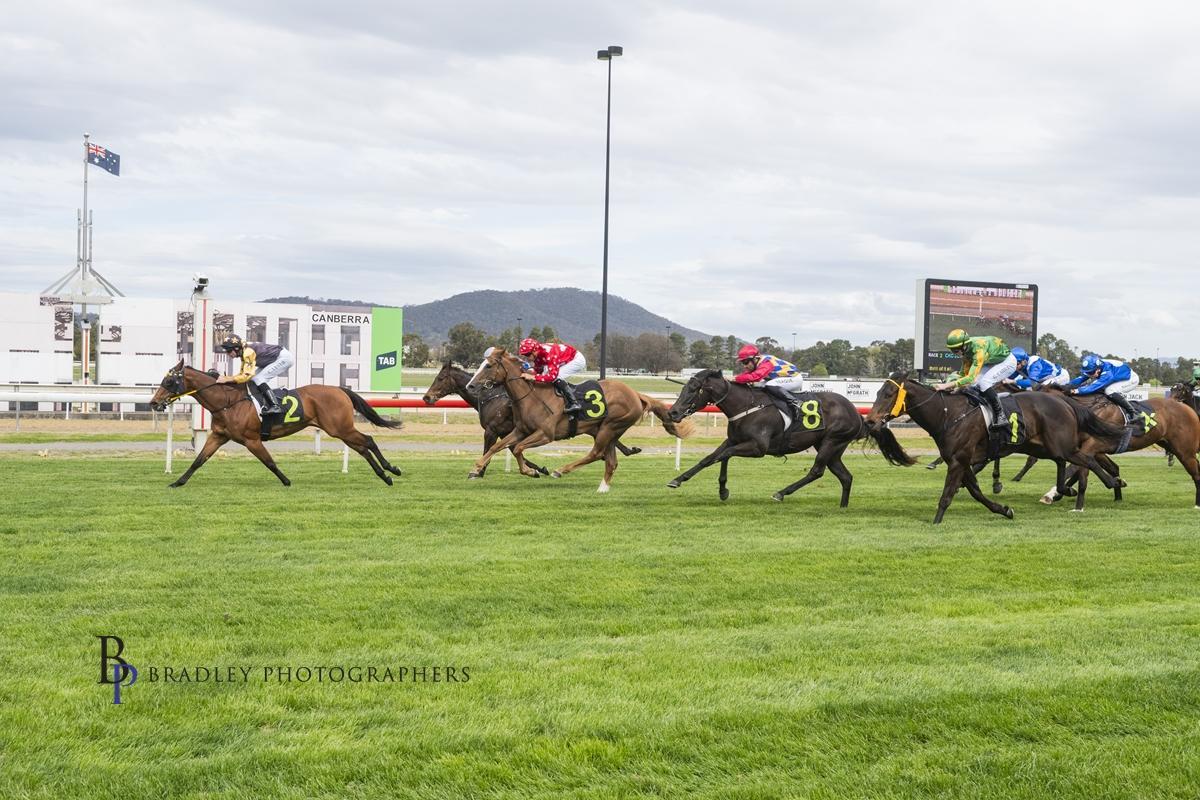 Picture of the author