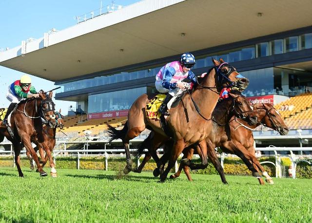Mio Sorrento bursts through the gap to take the win
