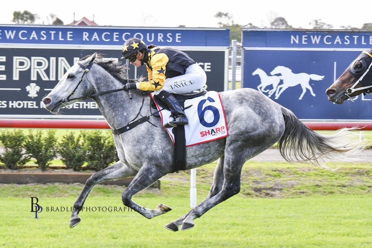 Picture of the author