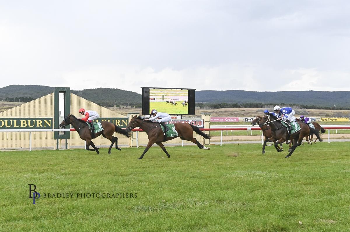 Picture of the author