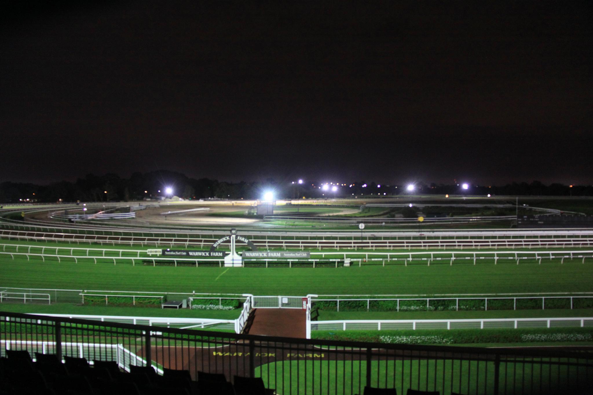 Picture of the author