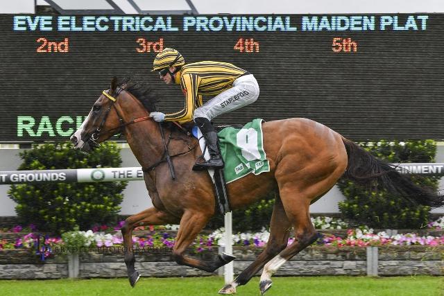 A “CHOICE” VICTORY AT GOSFORD INSTEAD