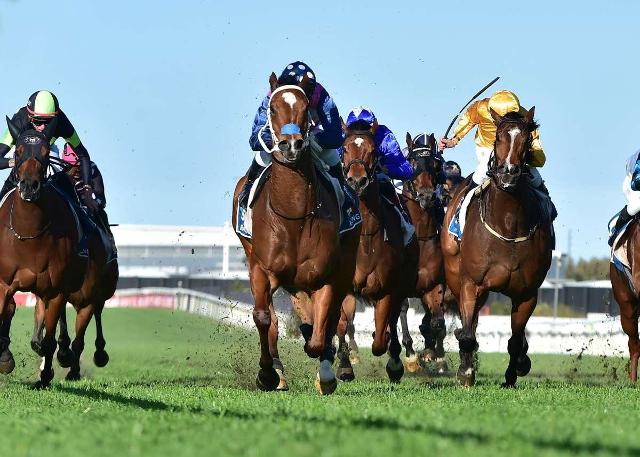 Chalice Well gets her 1st Metro win for the team