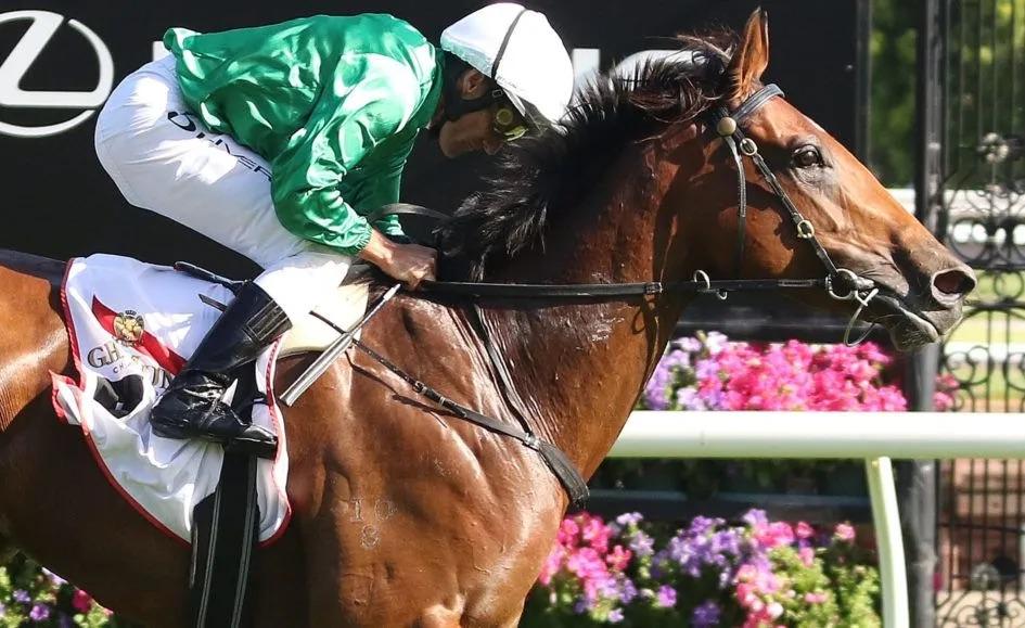 Moloney Racing