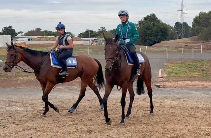 Racing Preview - 28/09/25