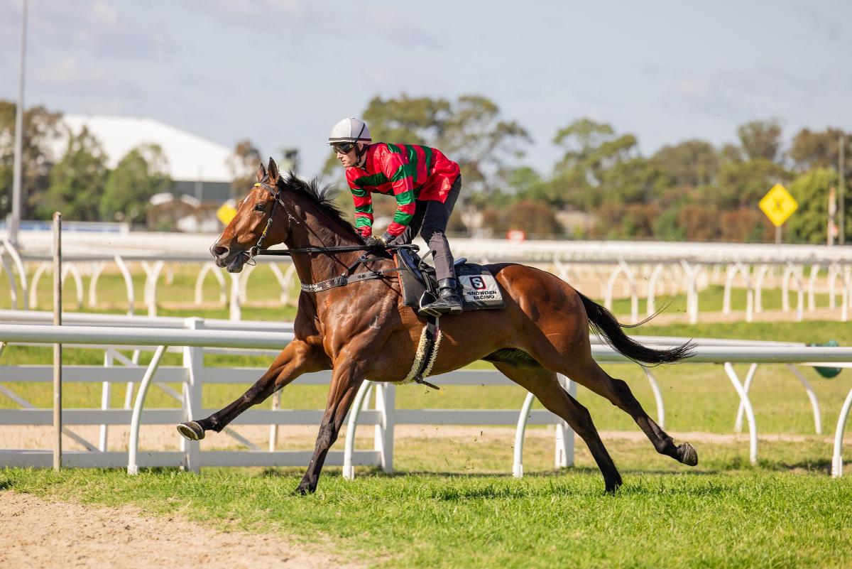 Need Some Luck Wins Fisher Stakes at Flemington