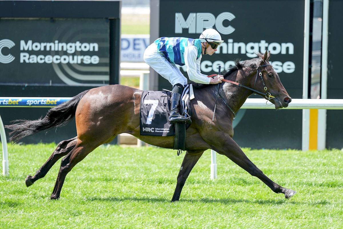 Final Moment Secures Impressive Victory at Mornington
