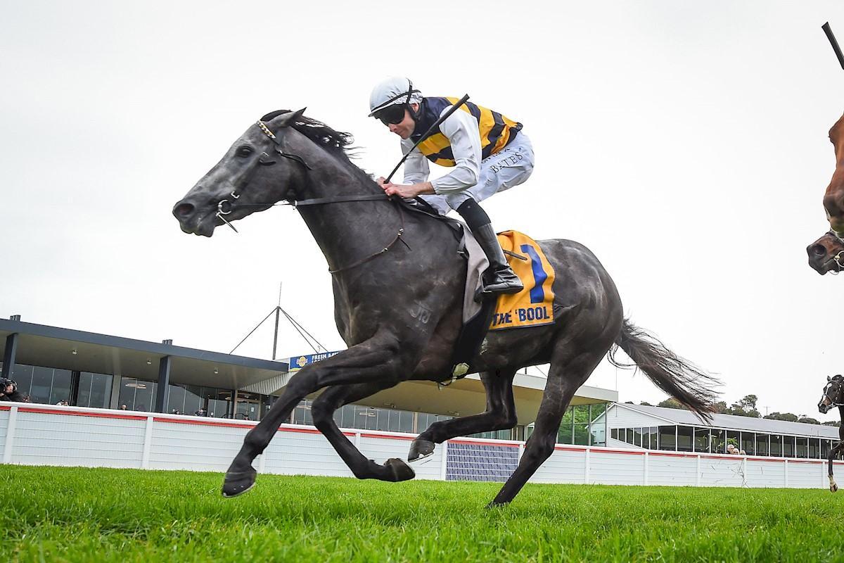 Racing Preview - 24/05/25