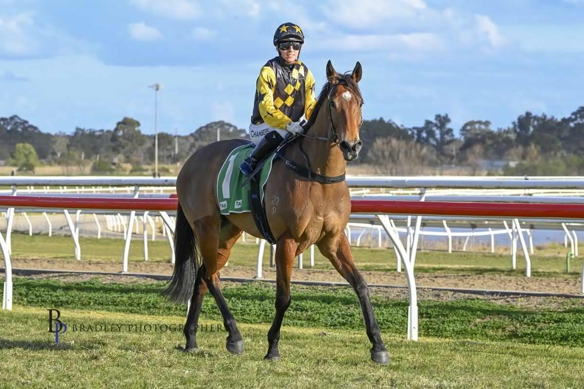 Picture of the author