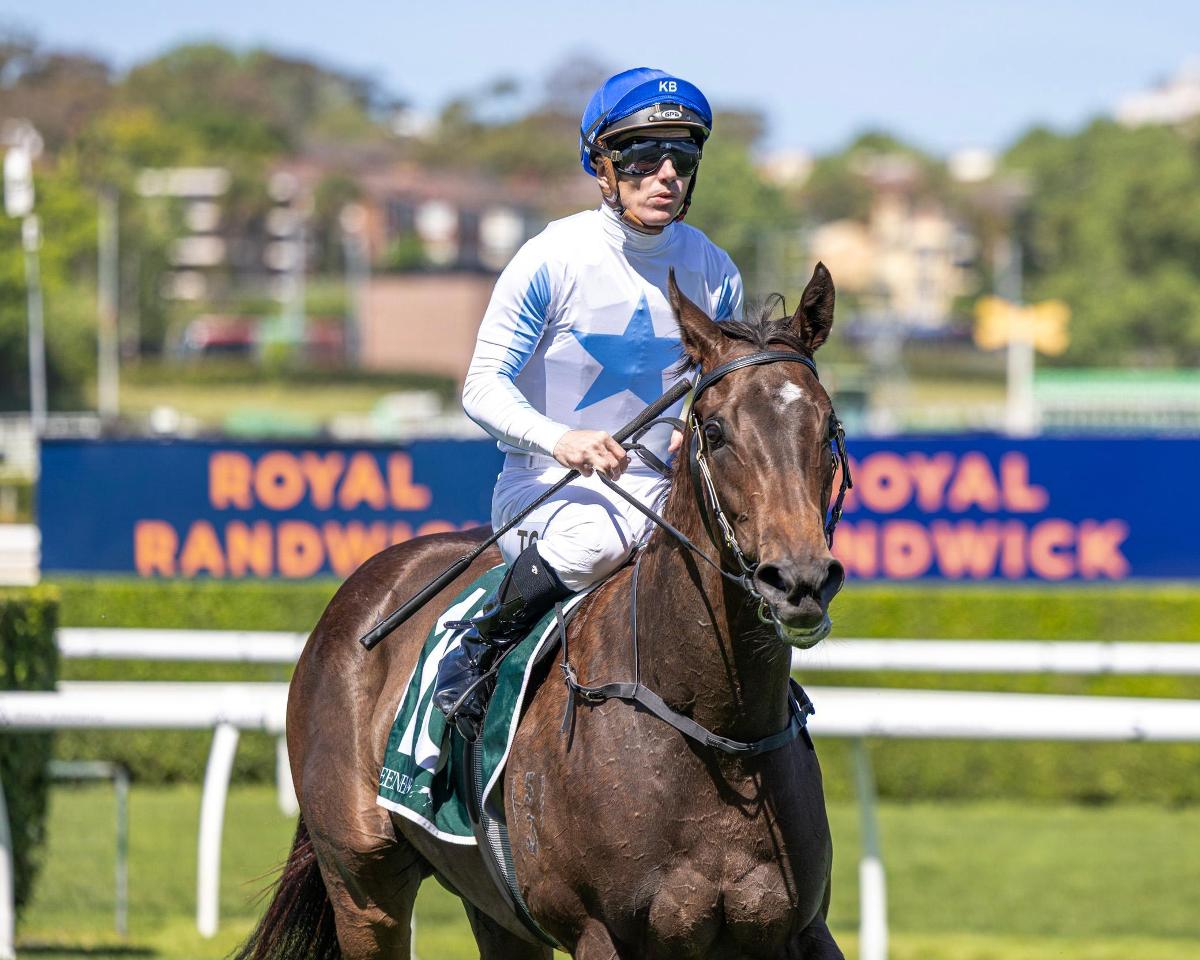 Playing By The Rules