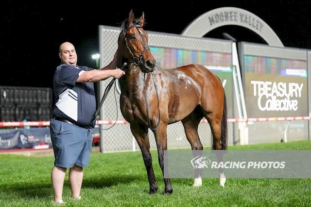 Griffith Races Sun, Oct 26, 2025