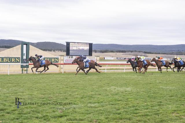 BRAD’S “PRETTY SPECIAL” WEEKEND FEATURE DOUBLE