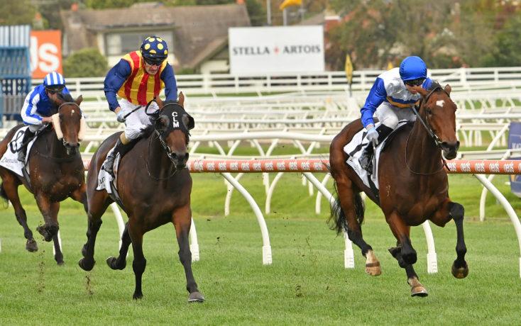 SA Derby on the radar with exciting stayer Liqueuro