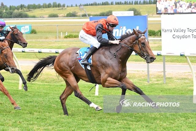 Griffith Races Fri, Dec 19, 2025