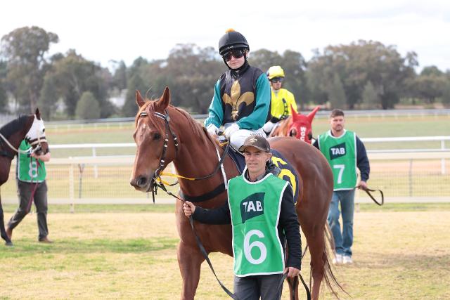 Sonic Scene and Kahawaty head to town