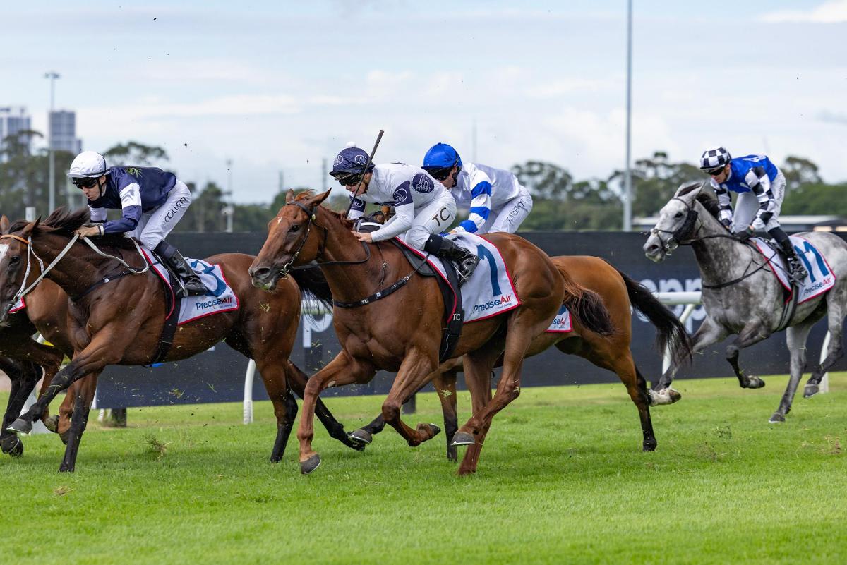 Playing By The Rules