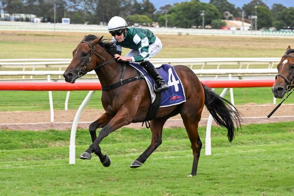 $1.4million Written Tycoon Colt Media World Breaks the Ice