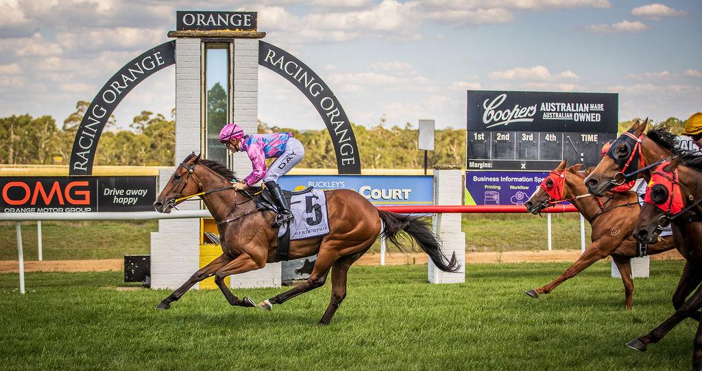 Picture of the author