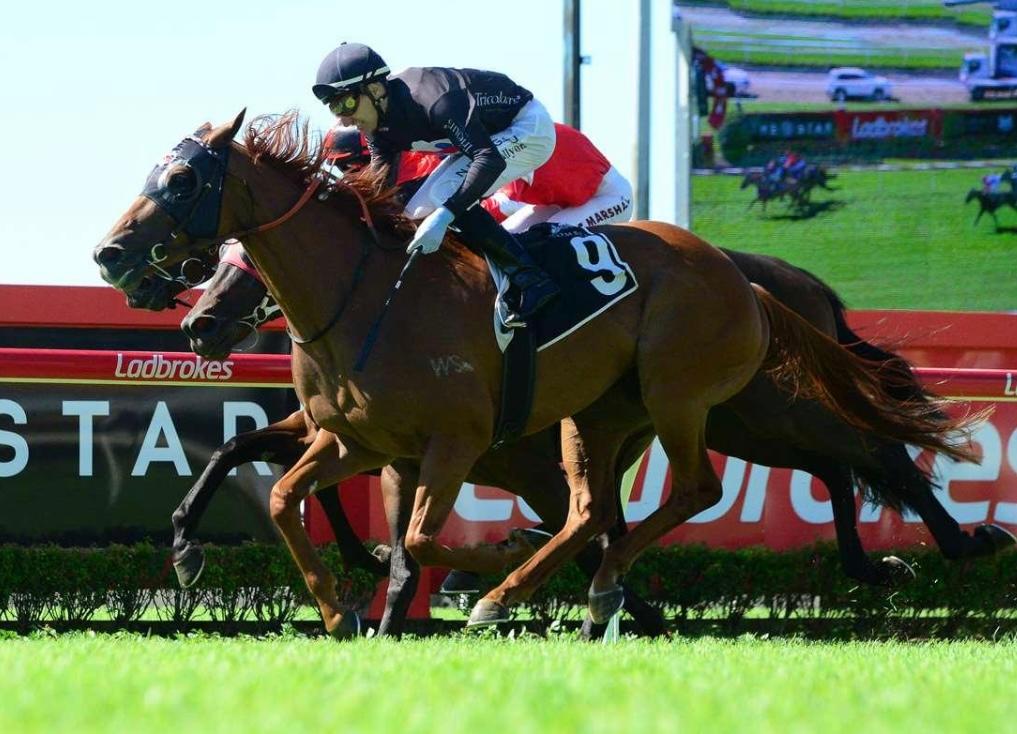 Opacity bounces back in winning style !