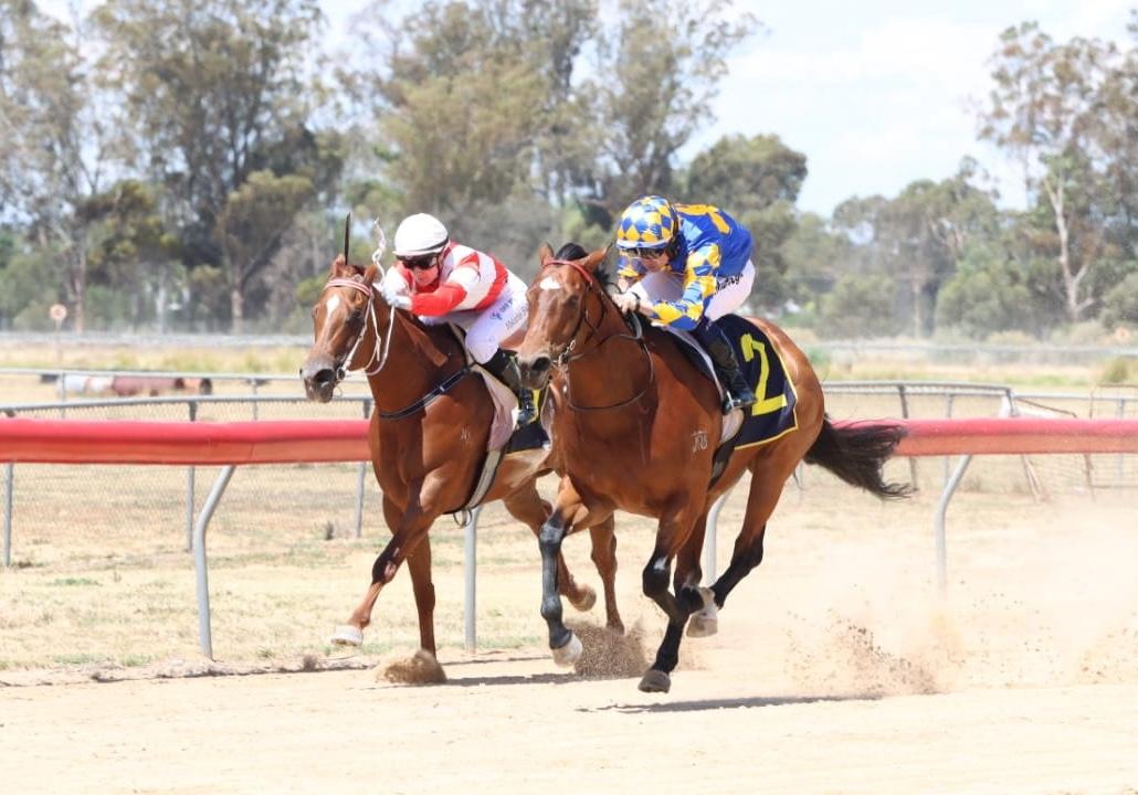 Weeding Racing looks to continue hot run