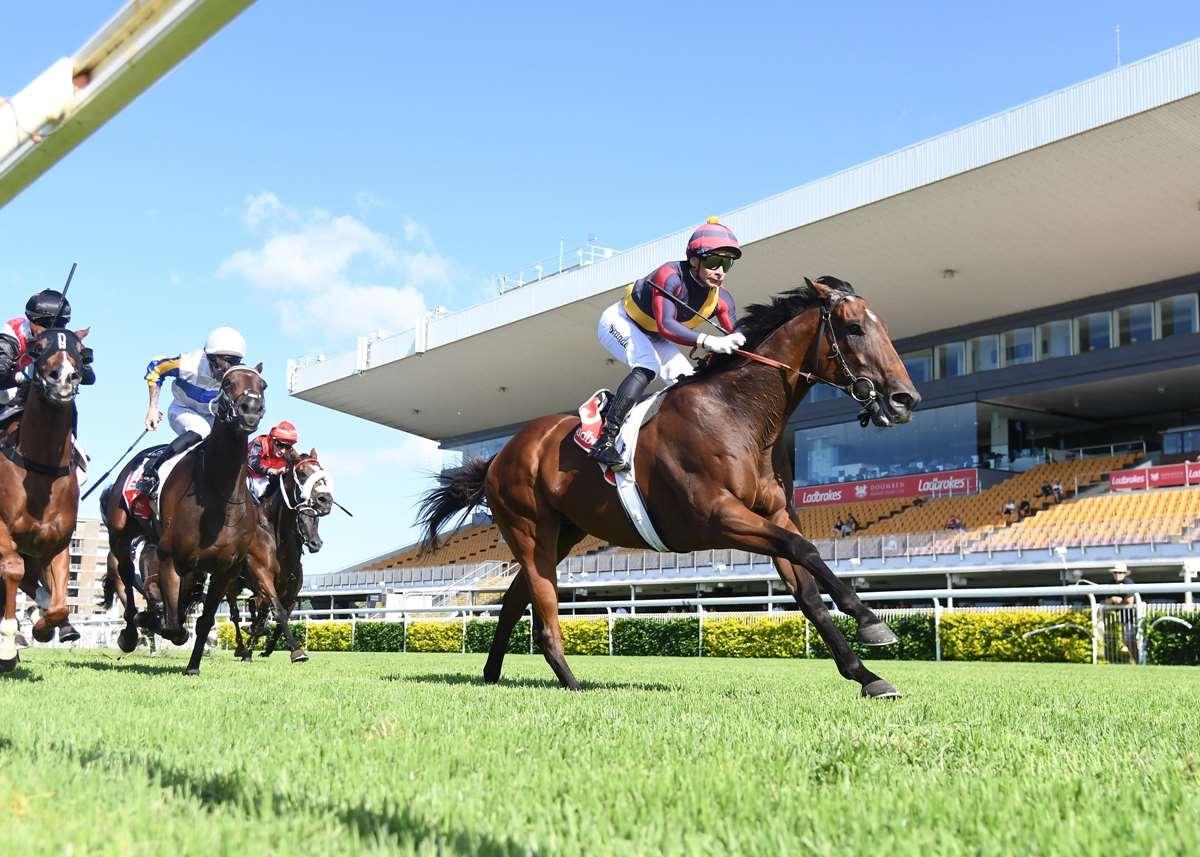 SAVVY WIN BY SMART ACTION