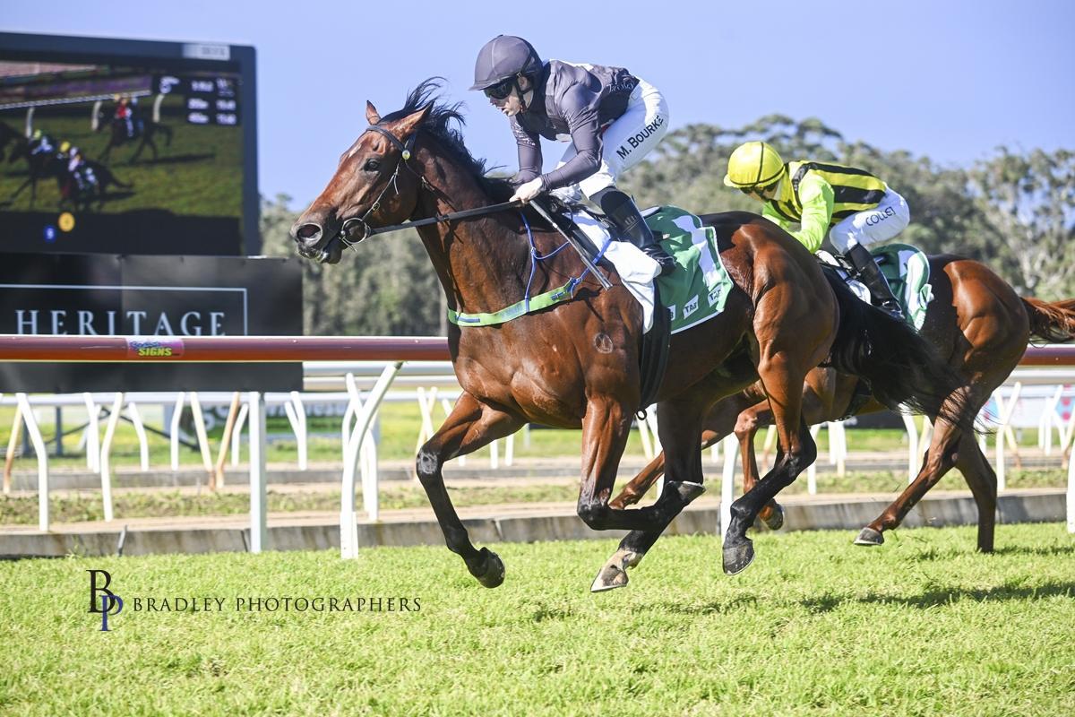 VETWELVE WINS AT WYONG !