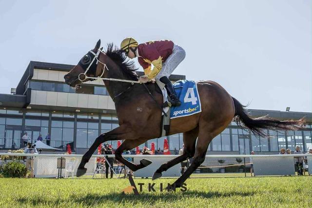 Greenidge Fires First Up at Naracoorte