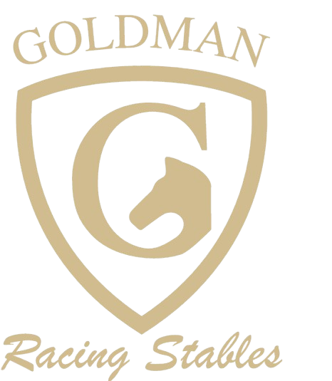 Goodman Racing Logo Goldman Racing