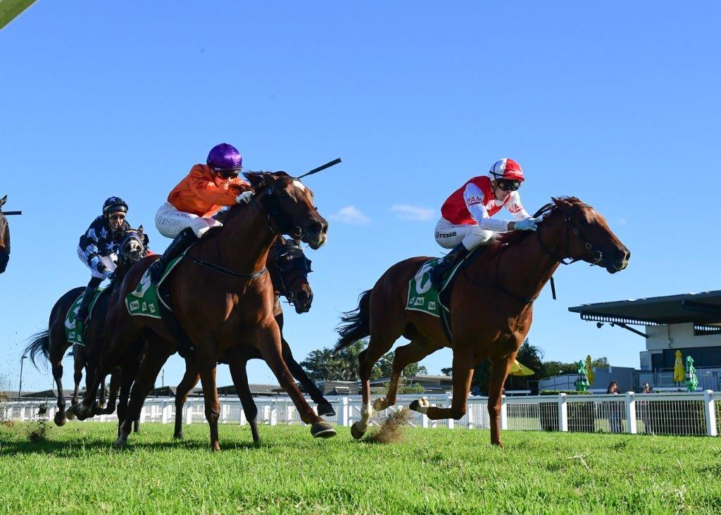 Back To Back Wins For Pizarro