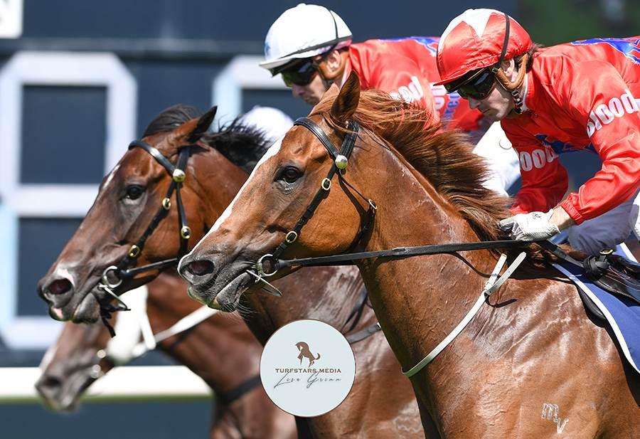 Newcastle trainer Nathan Doyle scores another Rosehill Quinella