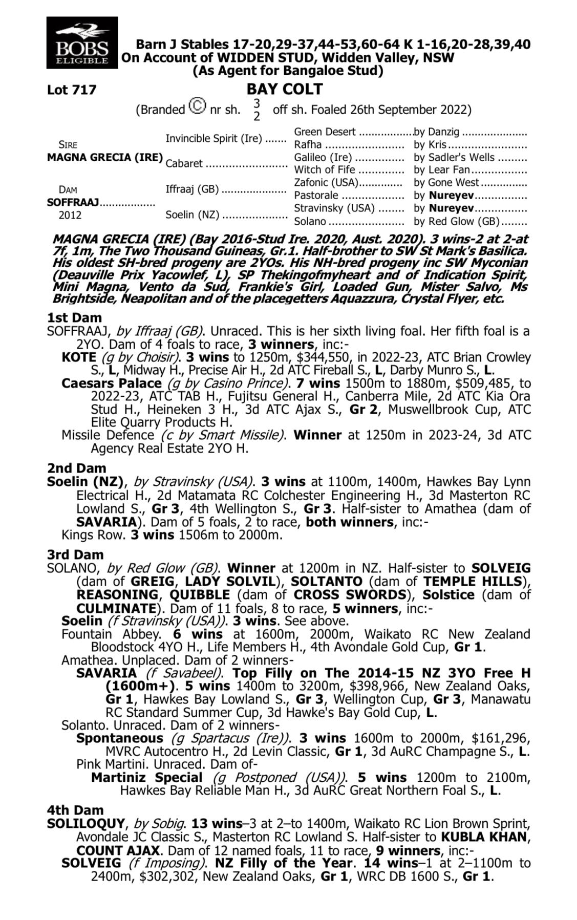 Northy Lad Pedigree