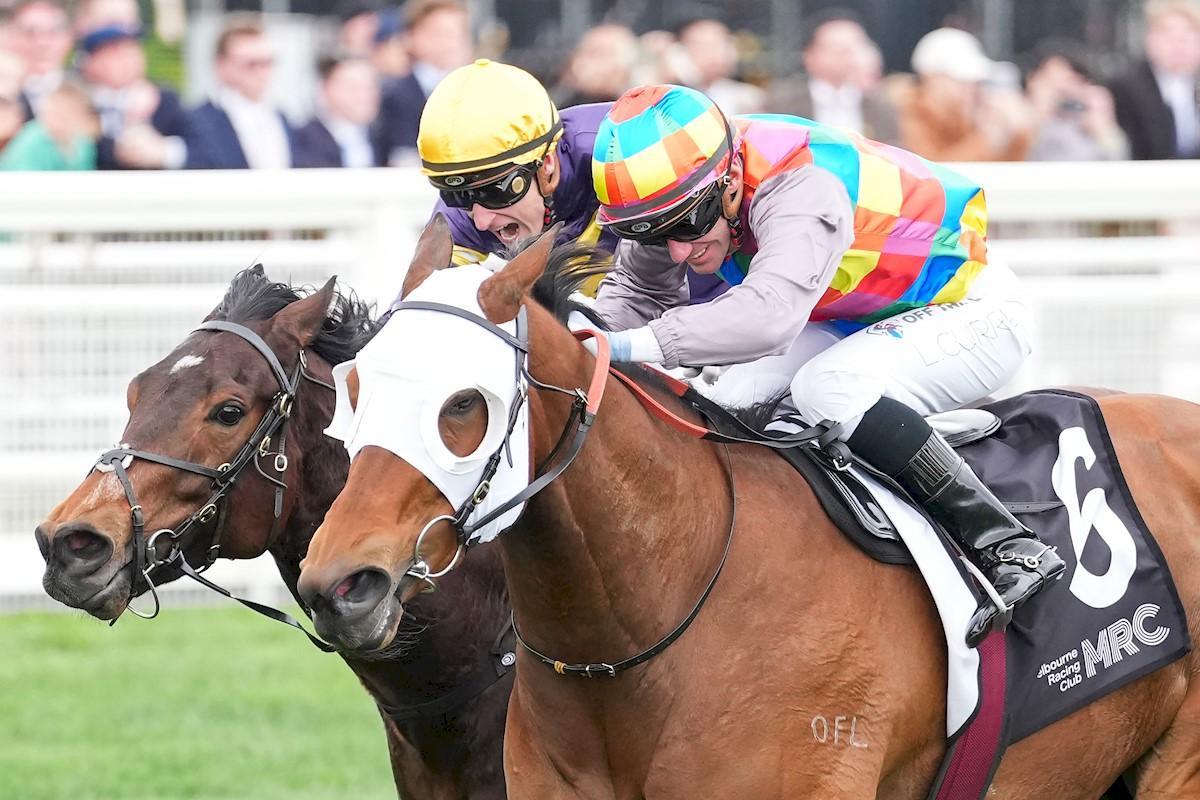 Tiger Shark Pounces to Claim Thrilling Caulfield Victory