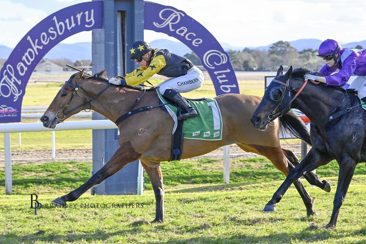 Picture of the author